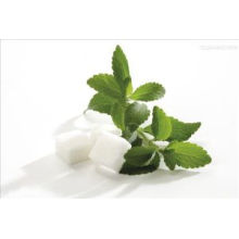 Stevia Leaf Extracts P. E. 90%Min. Natural Sweeteners for Food with Good Quality